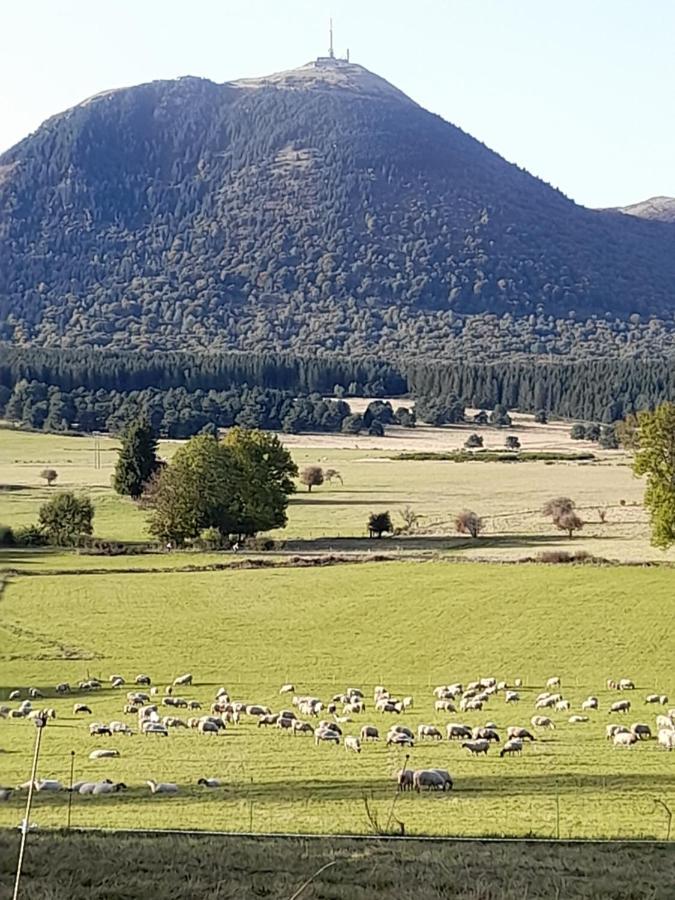24m2 Neuf .laschamps Saint-Genès-Champanelle