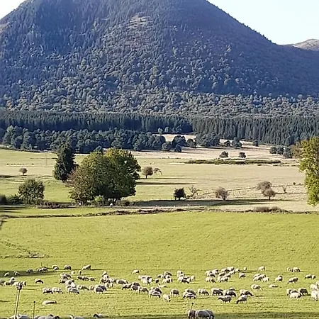 A 5 Mns Du Puy De Dome Avec Vue Imprenable Studio Rez De Jardin 24M2 Neuf A Laschamps Saint-Genès-Champanelle Exterior foto